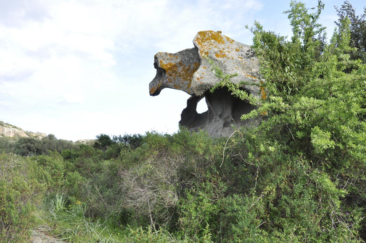 Hotel Dori D'Oro Orosei Kültér fotó